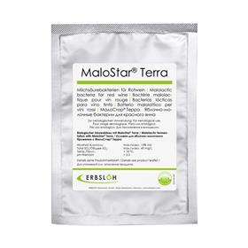 MaloStar Terra - pour 2'500 lt vin